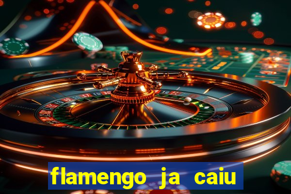 flamengo ja caiu para serie b